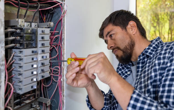 Best Electric Panel Repair  in Mounds View, MN
